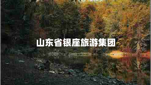 山東省銀座旅游集團(tuán)