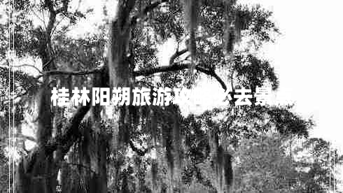 桂林陽朔旅游攻略必去景點