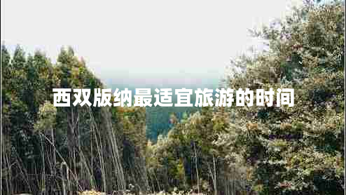 西雙版納最適宜旅游的時(shí)間