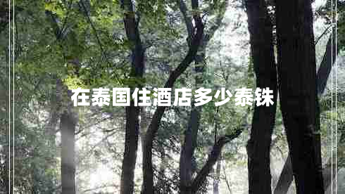 在泰國(guó)住酒店多少泰銖