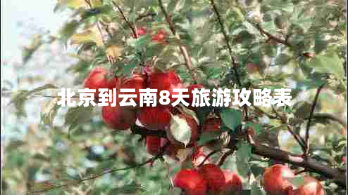 北京到云南8天旅游攻略表