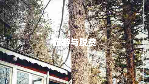 旅游與脫貧 旅游與脫貧