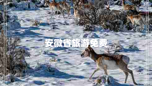 安徽省旅游免費(fèi)