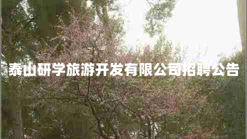 泰山研學(xué)旅游開發(fā)有限公司招聘公告
