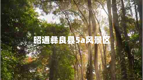 昭通彝良縣5a風(fēng)景區(qū)