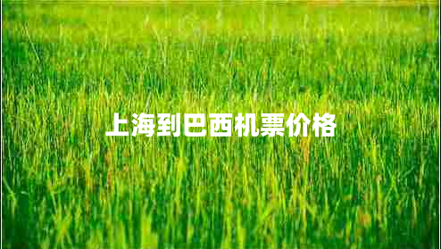 上海到巴西機票價格