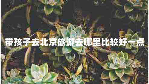 帶孩子去北京旅游去哪里比較好一點