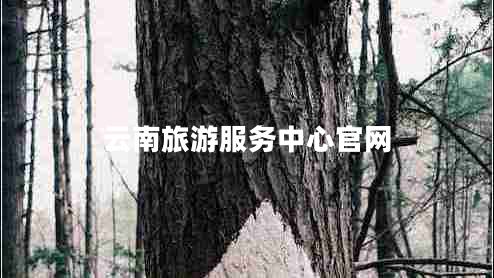 云南旅游服務中心官網(wǎng)