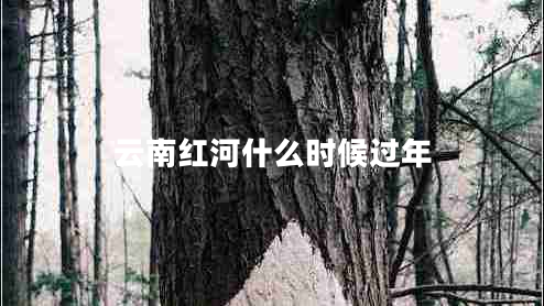 云南紅河什么時候過年