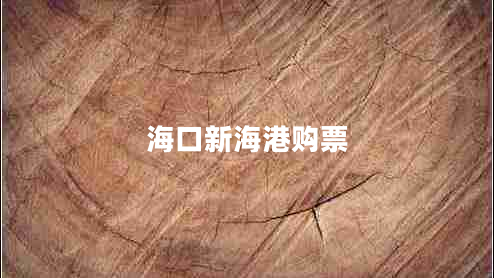 海口新海港購票