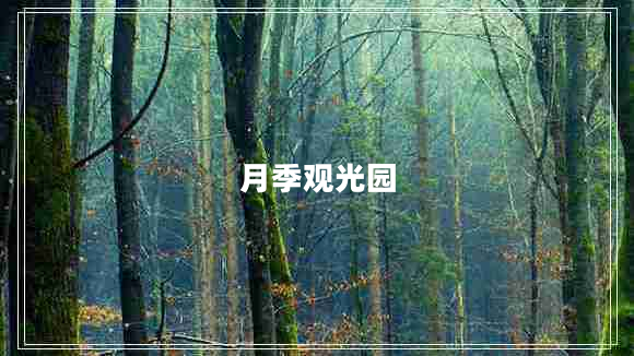 月季觀光園 月季觀光園