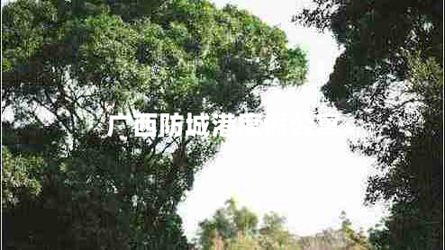 廣西防城港度假公寓