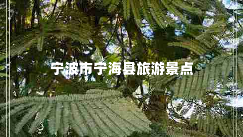 寧波市寧海縣旅游景點(diǎn) 寧波市寧??h旅游景點(diǎn)