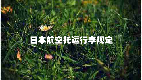 日本航空托運(yùn)行李規(guī)定