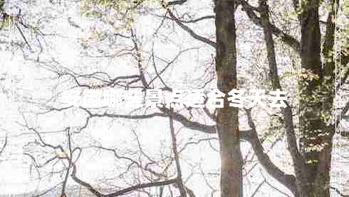 安徽哪些景點(diǎn)適合冬天去