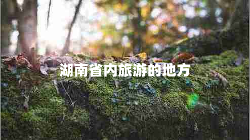 湖南省內(nèi)旅游的地方 湖南省內(nèi)旅游的地方