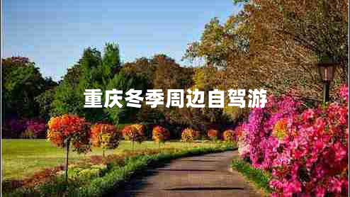 重慶冬季周邊自駕游 重慶冬季周邊自駕游