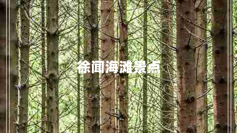 徐聞海灘景點(diǎn)