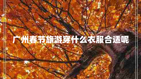 廣州春節(jié)旅游穿什么衣服合適呢 廣州春節(jié)旅游穿什么衣服合適呢
