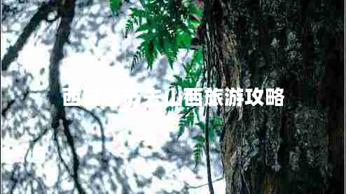 西安春節(jié)去山西旅游攻略 西安春節(jié)去山西旅游攻略