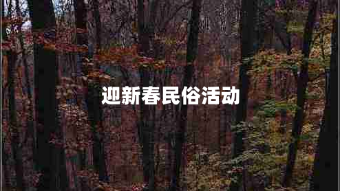 迎新春民俗活動(dòng) 迎新春民俗活動(dòng)