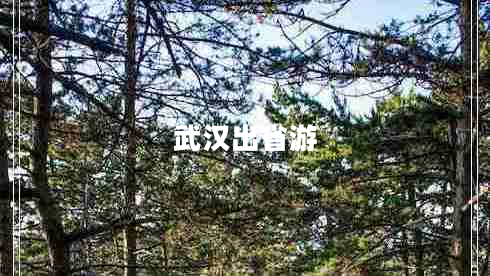 武漢出省游 武漢出省游