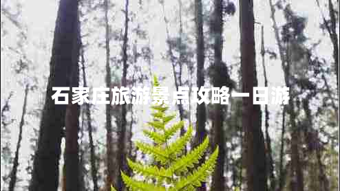 石家莊旅游景點攻略一日游