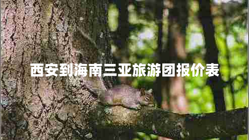 西安到海南三亞旅游團(tuán)報(bào)價(jià)表