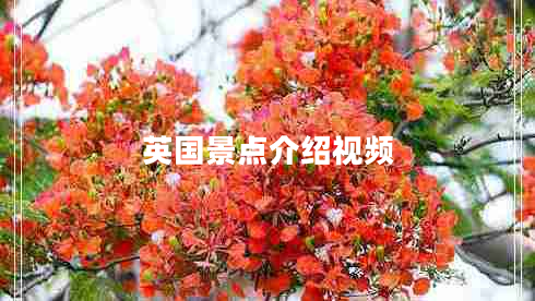 英國景點(diǎn)介紹視頻