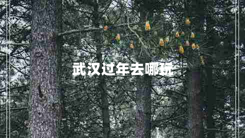 武漢過年去哪玩