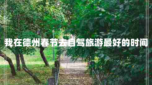 我在德州春節(jié)去自駕旅游最好的時(shí)間 我在德州春節(jié)去自駕旅游最好的時(shí)間