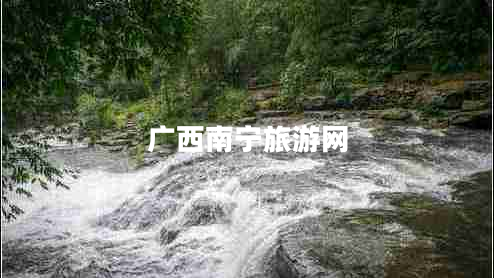 廣西南寧旅游網(wǎng) 廣西南寧旅游網(wǎng)
