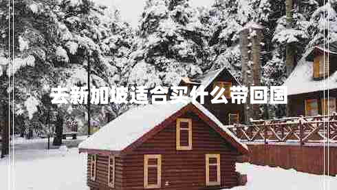 去新加坡適合買什么帶回國