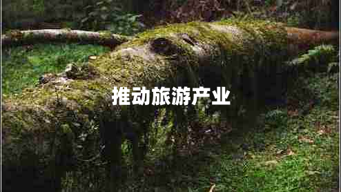 推動旅游產(chǎn)業(yè)