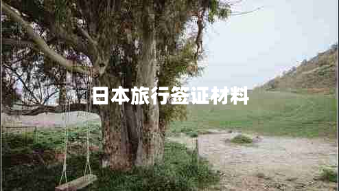 日本旅行簽證材料 日本旅行簽證材料