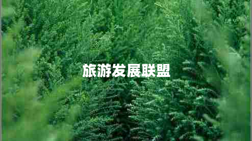 旅游發(fā)展聯(lián)盟 旅游發(fā)展聯(lián)盟