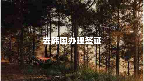 去韓國辦理簽證 去韓國辦理簽證