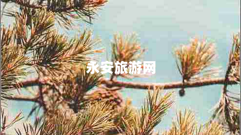 永安旅游網(wǎng)