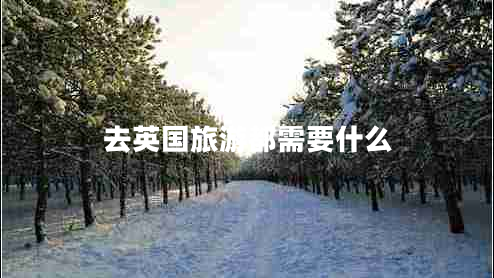 去英國(guó)旅游都需要什么