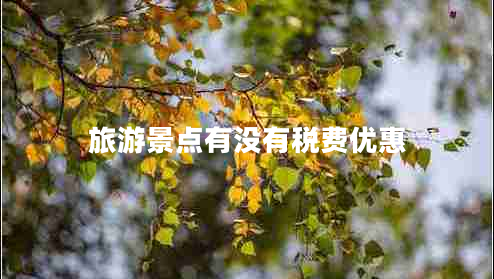 旅游景點(diǎn)有沒(méi)有稅費(fèi)優(yōu)惠 旅游景點(diǎn)有沒(méi)有稅費(fèi)優(yōu)惠