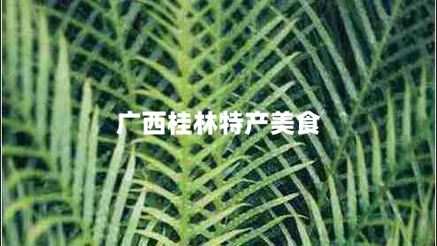 廣西桂林特產(chǎn)美食 廣西桂林特產(chǎn)美食