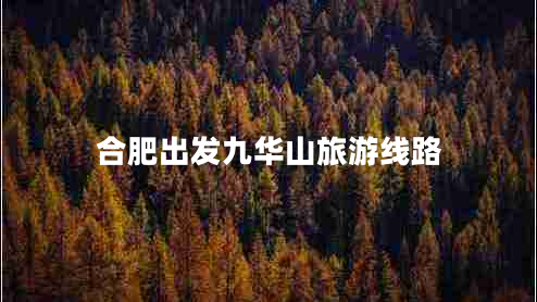 合肥出發(fā)九華山旅游線路