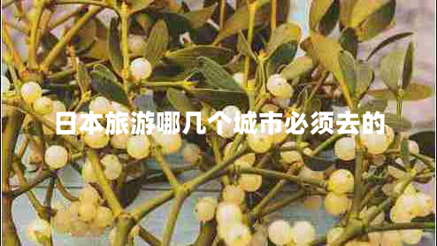 日本旅游哪幾個(gè)城市必須去的