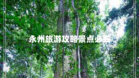 永州旅游攻略景點必去 永州旅游攻略景點必去