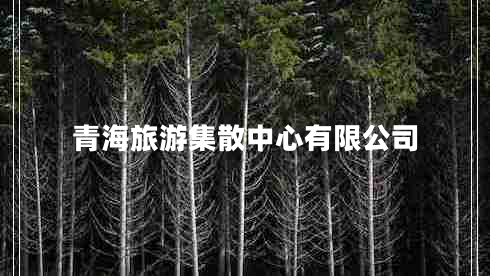 青海旅游集散中心有限公司 青海旅游集散中心有限公司