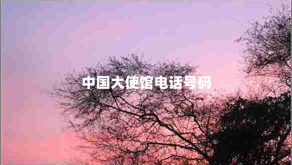 中國大使館電話號碼
