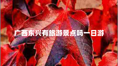 廣西東興有旅游景點(diǎn)嗎一日游