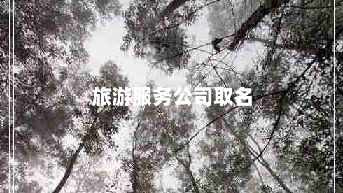 旅游服務(wù)公司取名 旅游服務(wù)公司取名