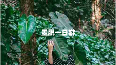 墨脫一日游 墨脫一日游