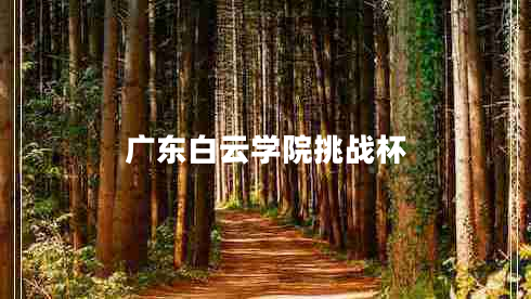 廣東白云學(xué)院挑戰(zhàn)杯
